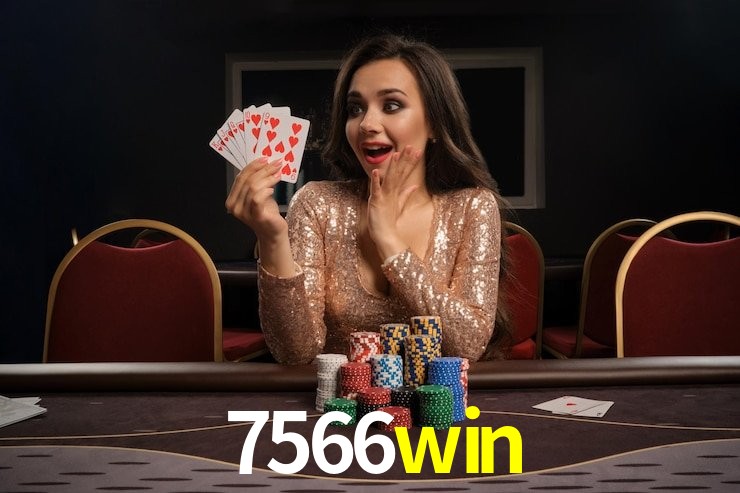 Interface Premium 7566win